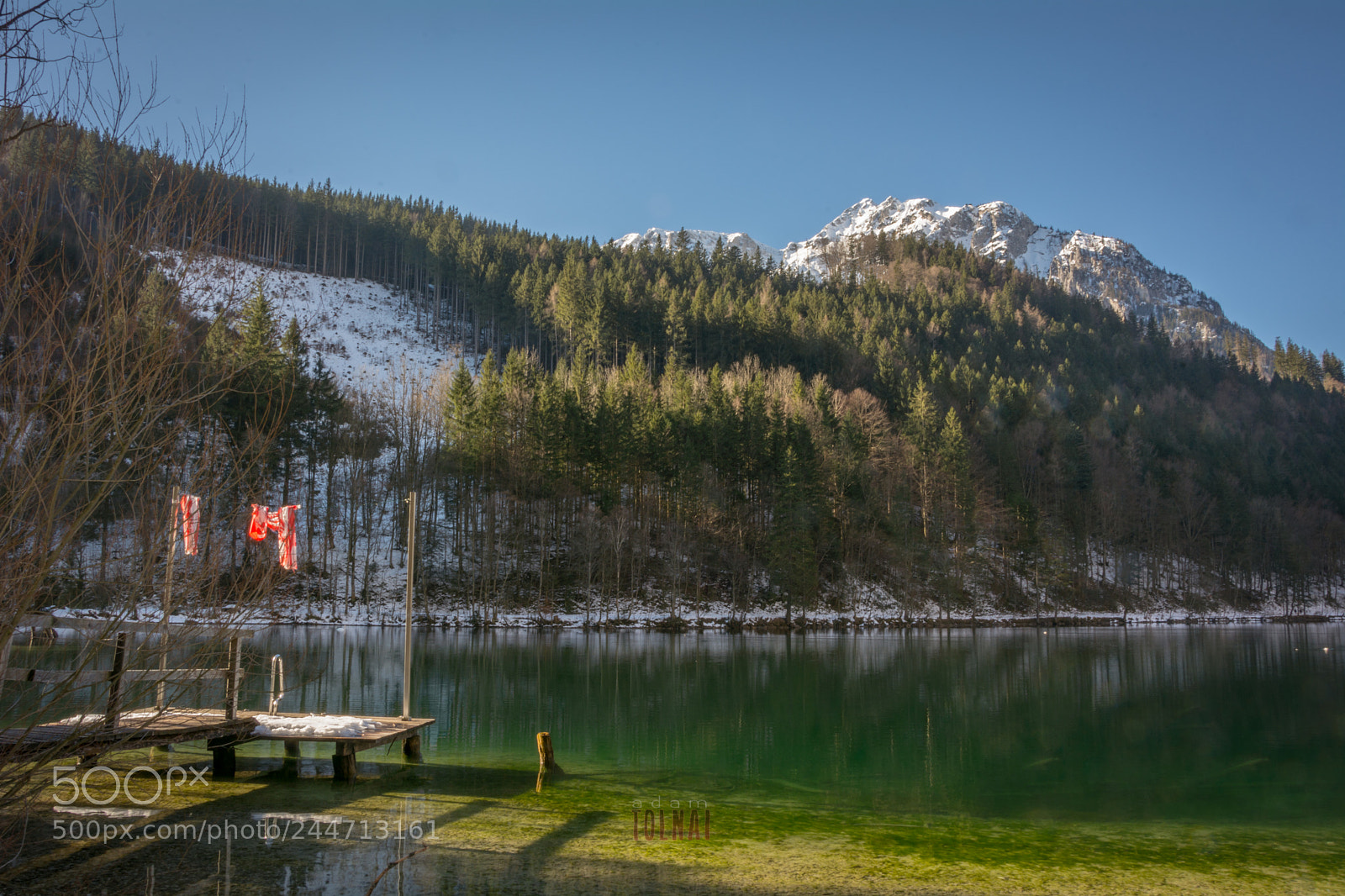 Nikon D7100 sample photo. Green calm. photography
