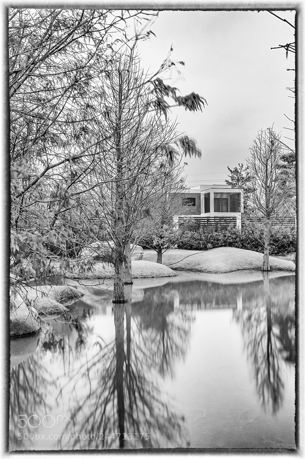 Canon EOS 60D sample photo. Dream home monochrome photography