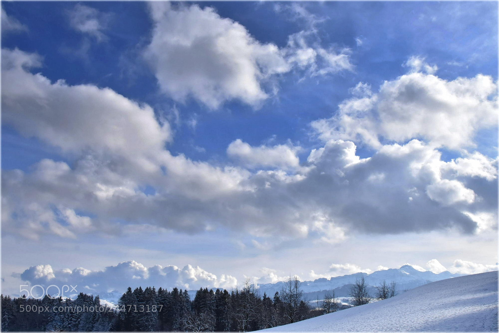 Nikon D7200 sample photo. "touch the sky" photography