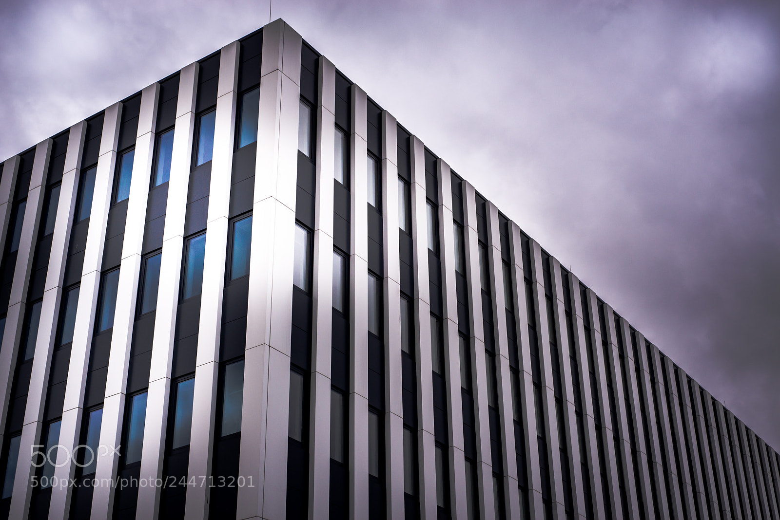 Nikon D610 sample photo. Black line photography