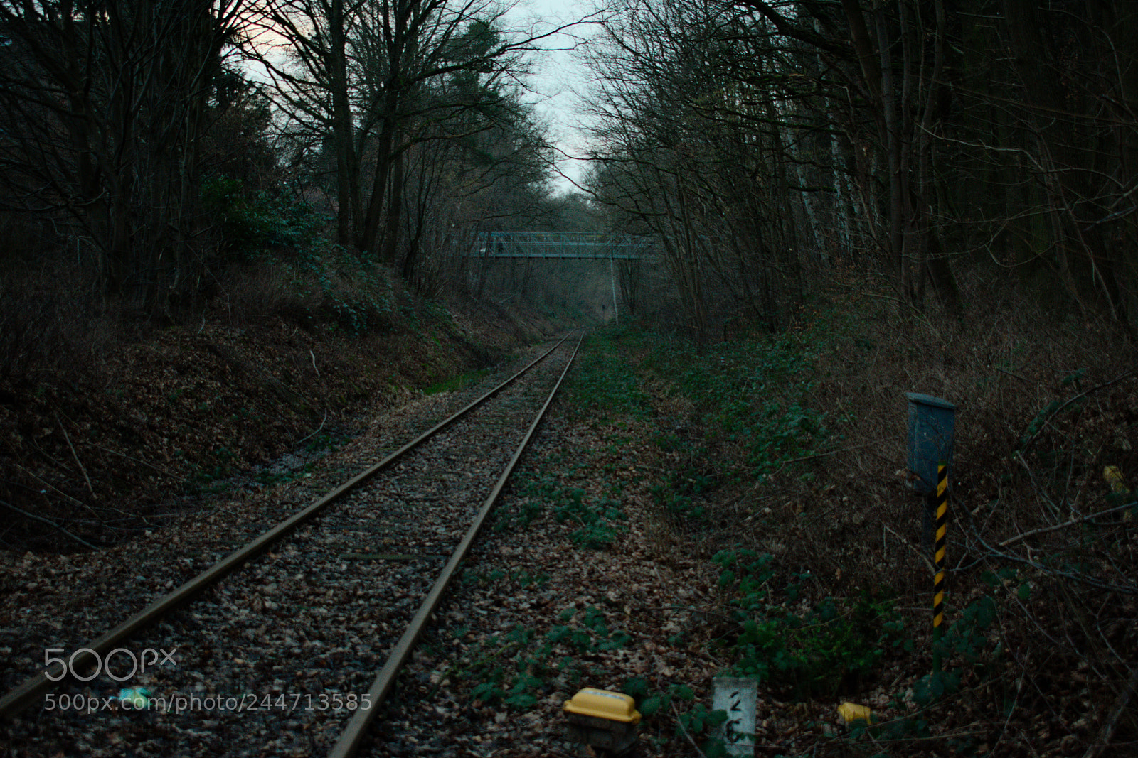 Nikon D3400 sample photo. German railroad track - 01 photography