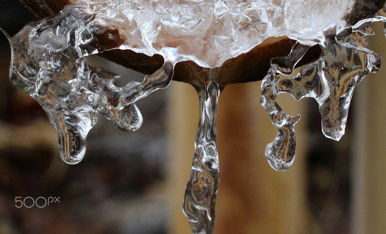 Canon EOS 100D (EOS Rebel SL1 / EOS Kiss X7) sample photo. A shape of h2o photography
