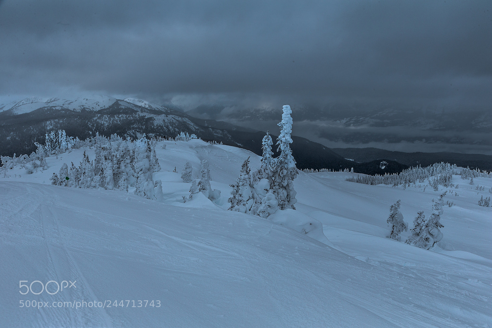 Canon EOS-1D X sample photo. The peak lookout whistler photography