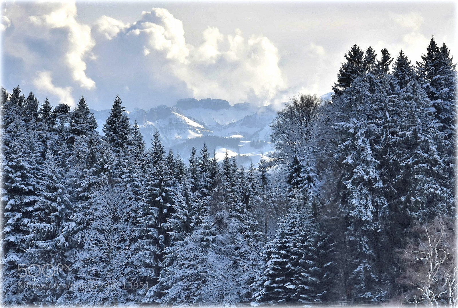 Nikon D7200 sample photo. "over the forrest" photography