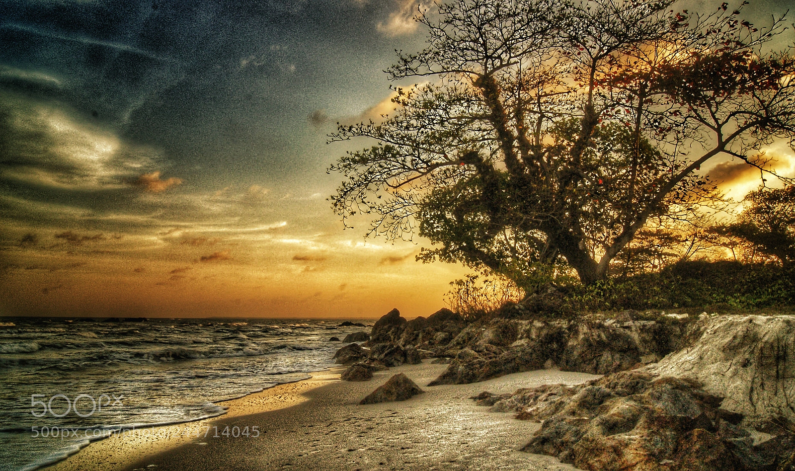 Sony Alpha DSLR-A230 sample photo. Lonely beach photography