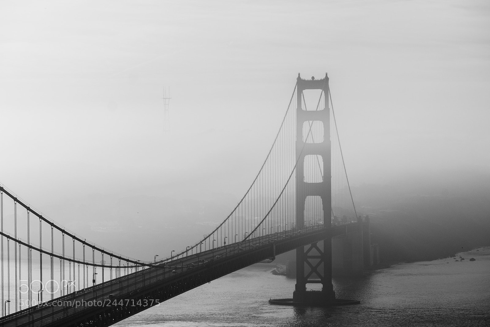 Nikon D3400 sample photo. Mist photography