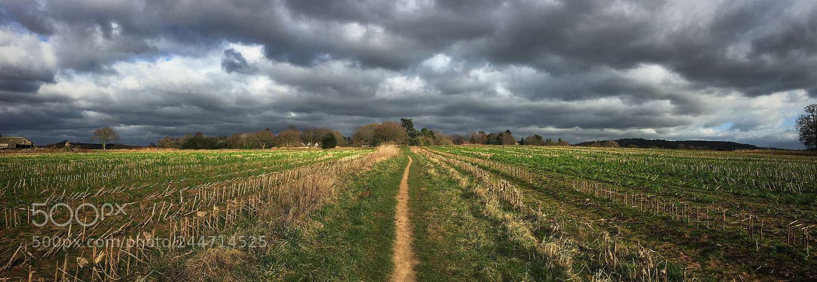 Apple iPhone 6s Plus sample photo. Panoramia photography