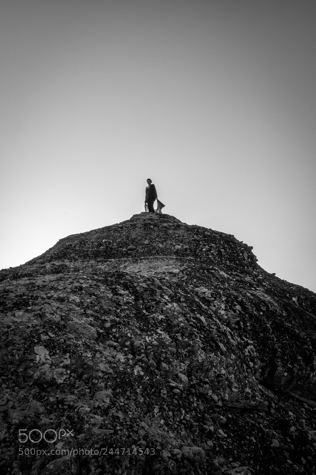 Nikon D7200 sample photo. On the top photography