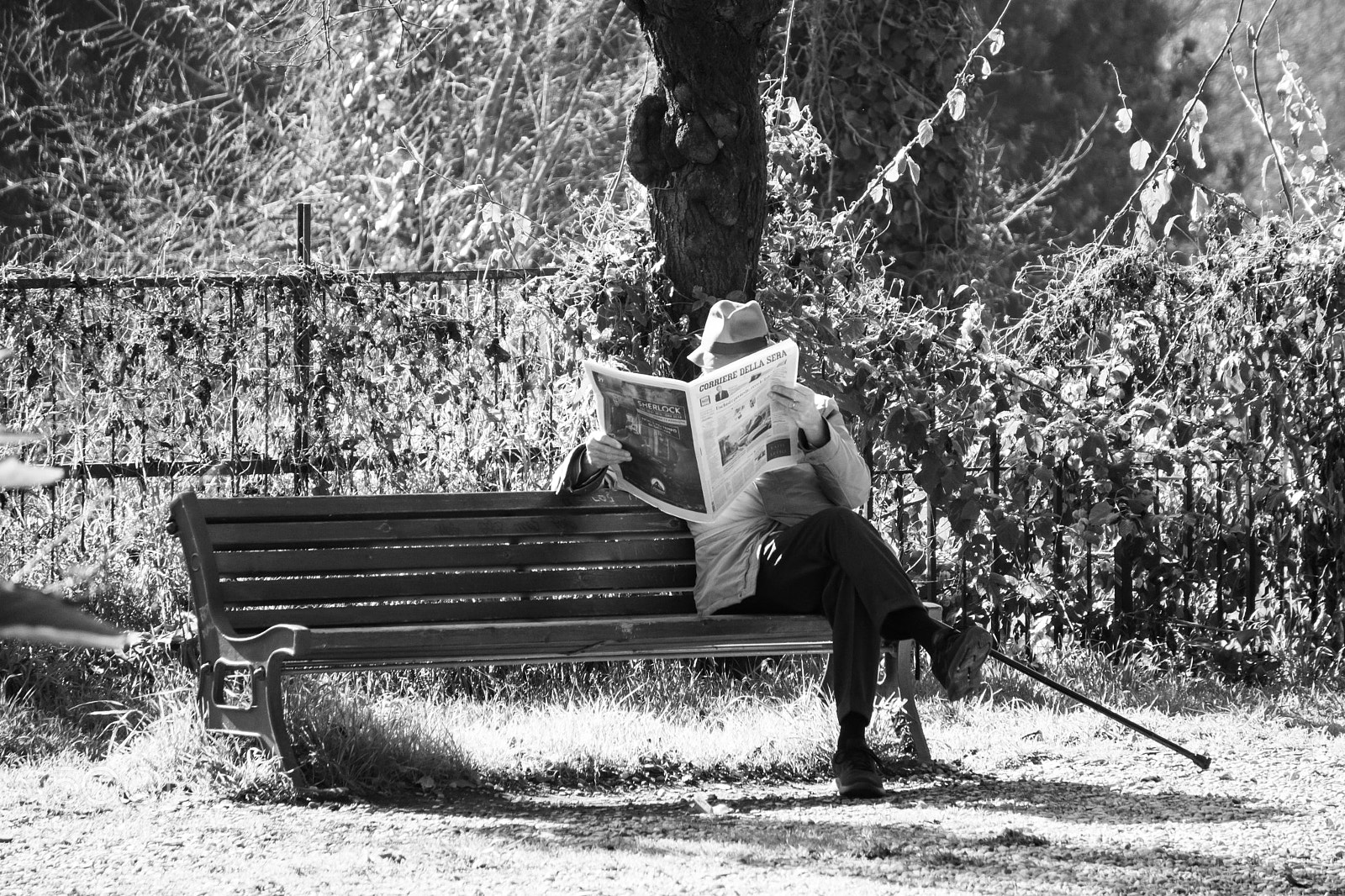 Sony a6300 sample photo. Reading at the bench photography