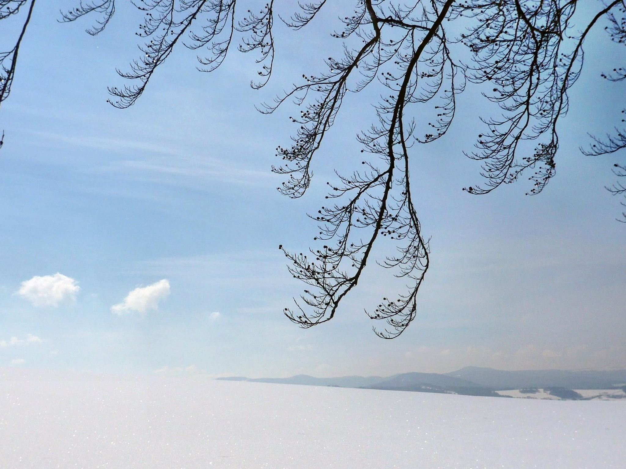 Panasonic DMC-FX30 sample photo. Winterlandschaften in der rhön photography