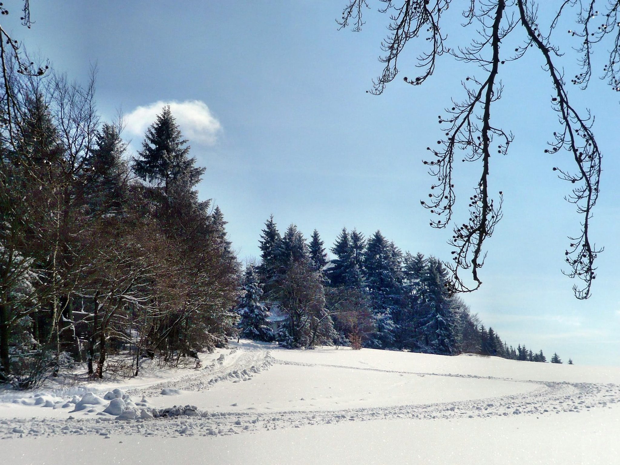 Panasonic DMC-FX30 sample photo. Winterlandschaften in der rhön photography