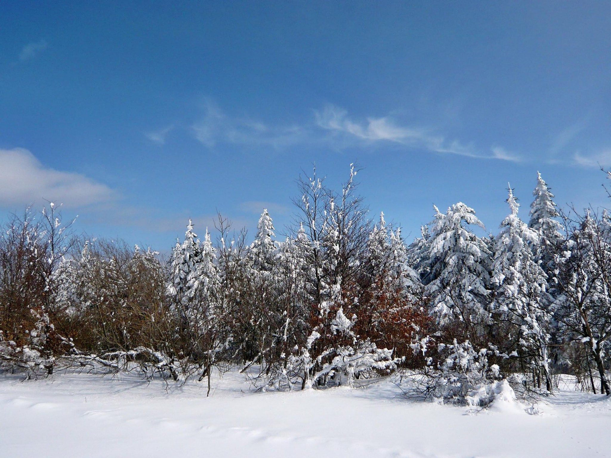 Panasonic DMC-FX30 sample photo. Winterlandschaften in der rhön photography