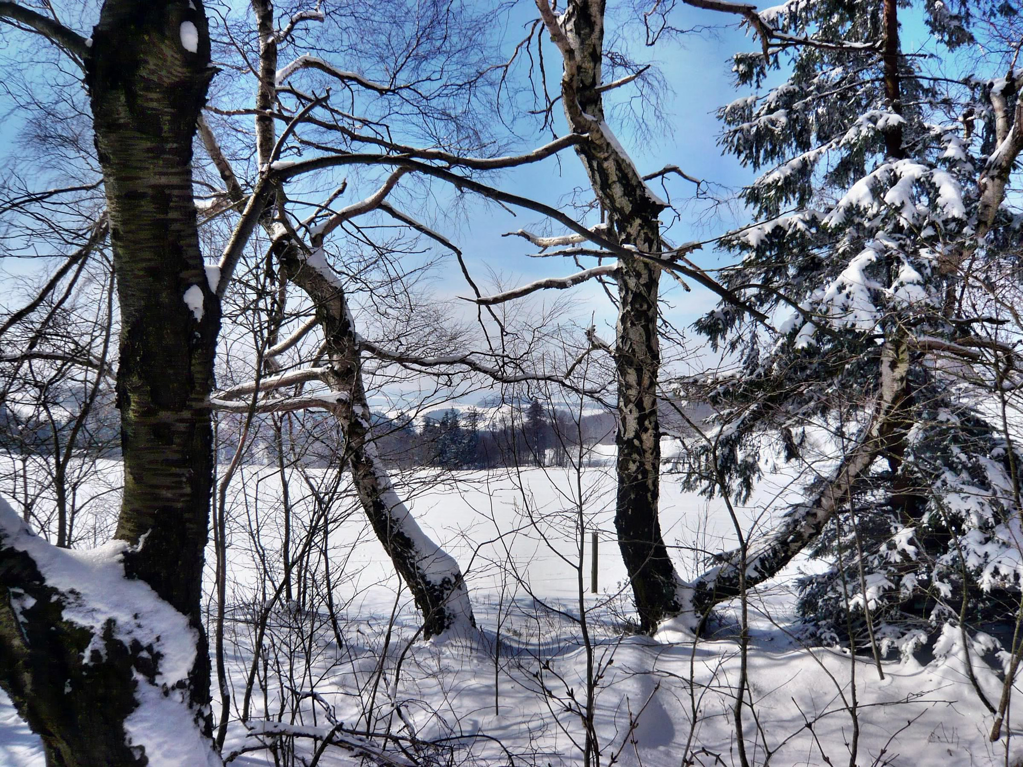 Panasonic DMC-FX30 sample photo. Winterlandschaften in der rhön photography