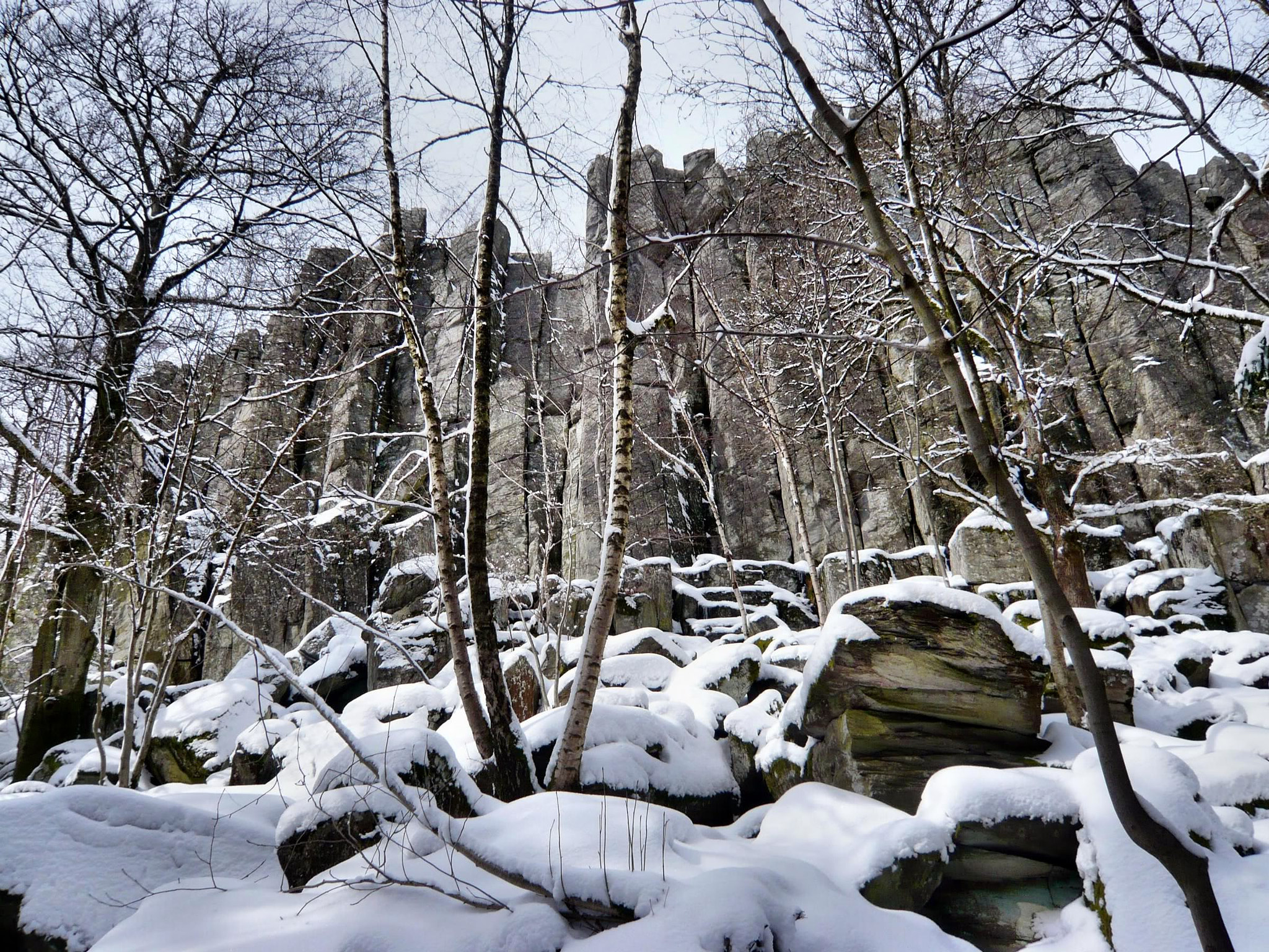 Panasonic DMC-FX30 sample photo. Winterlandschaften in der rhön photography