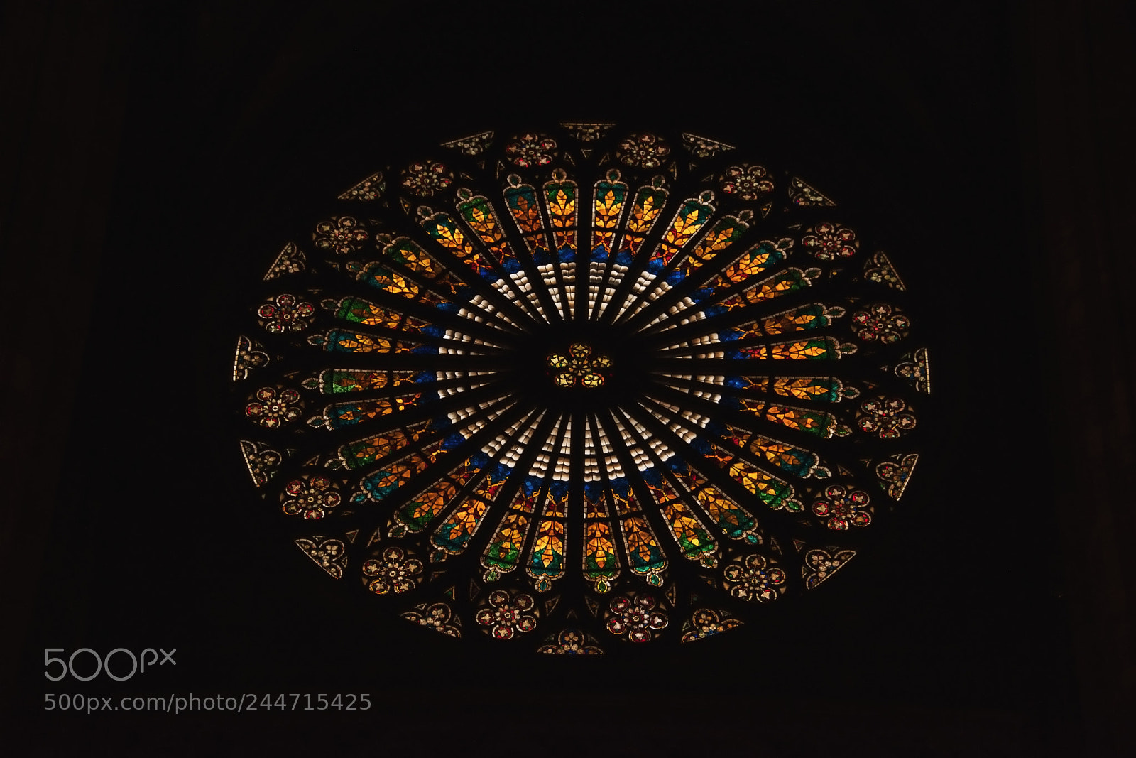 Nikon D810 sample photo. Rose window photography