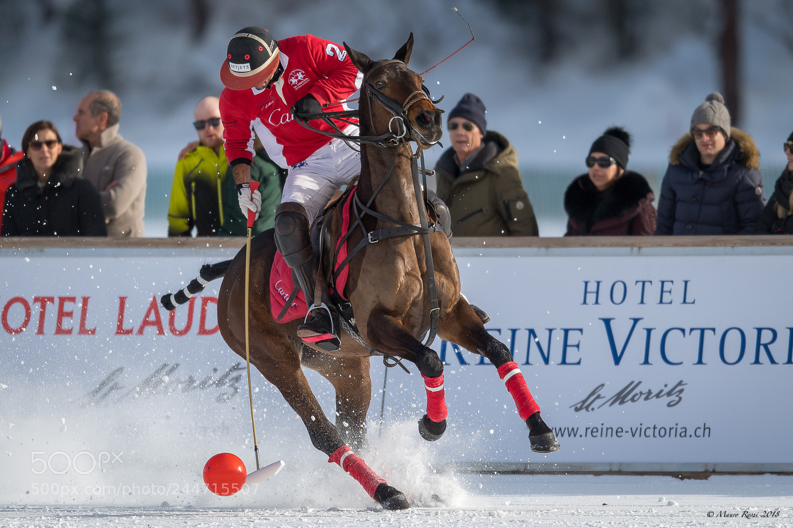 Nikon D5 sample photo. Snow polo - st photography