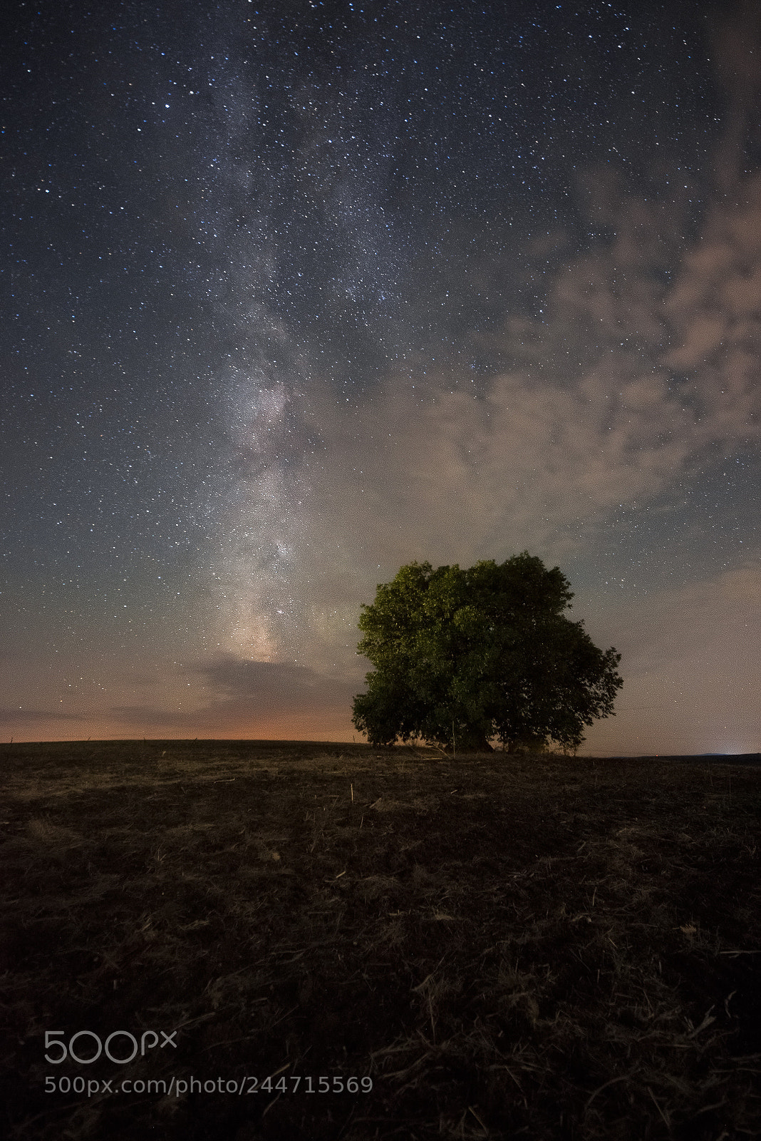 Nikon D800E sample photo. Night in the starry photography