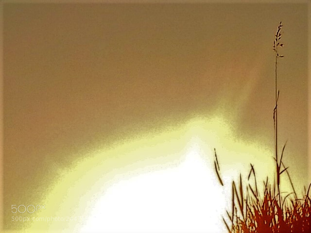 Nikon Coolpix L830 sample photo. Sunset photography