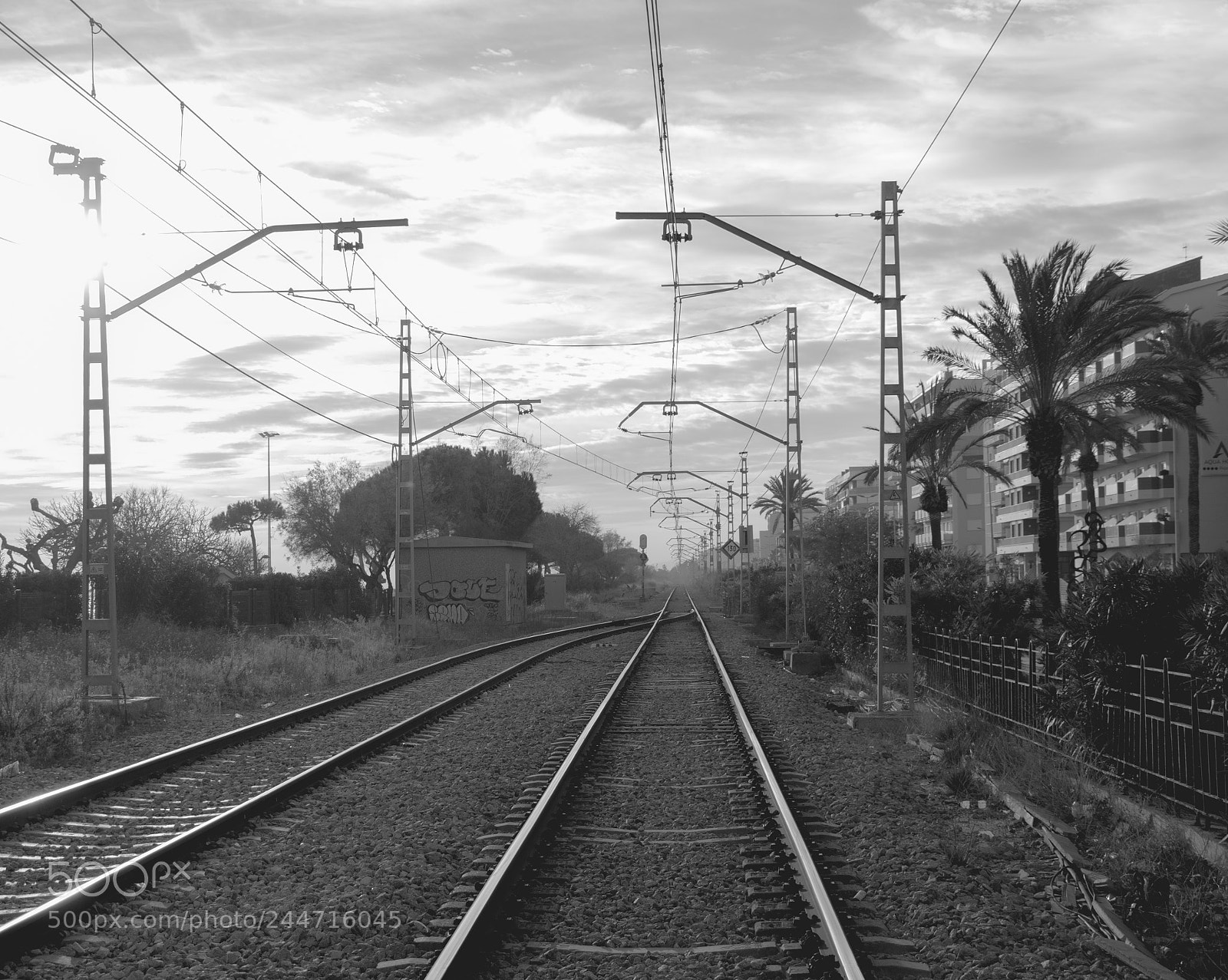 Canon EOS 7D Mark II sample photo. Iron arteries photography