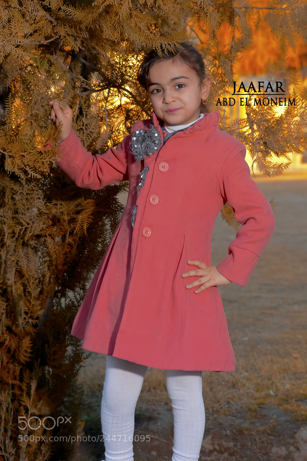 Nikon D7100 sample photo. Dsc photography