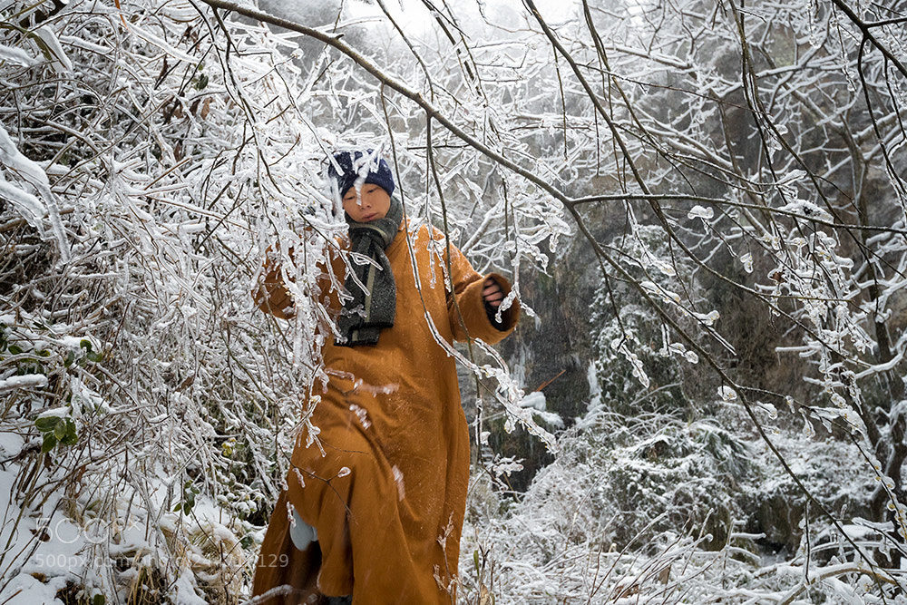 Canon EOS-1D X Mark II sample photo. 踏雪 photography
