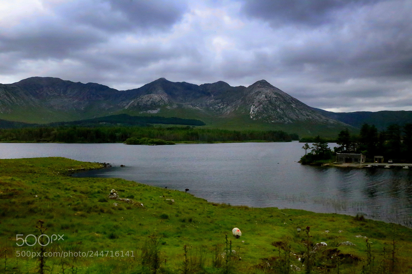 Canon EF 24-70mm F4L IS USM sample photo. Lough inagh photography