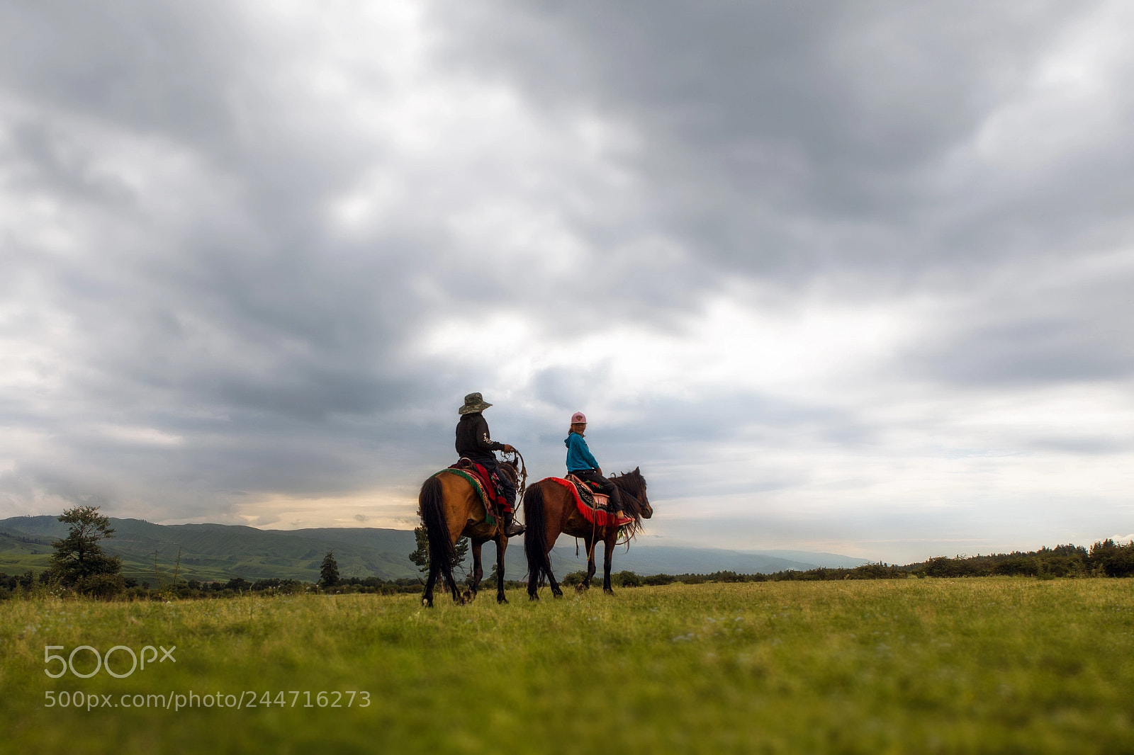 Canon EOS-1D X sample photo. The children of horseback photography