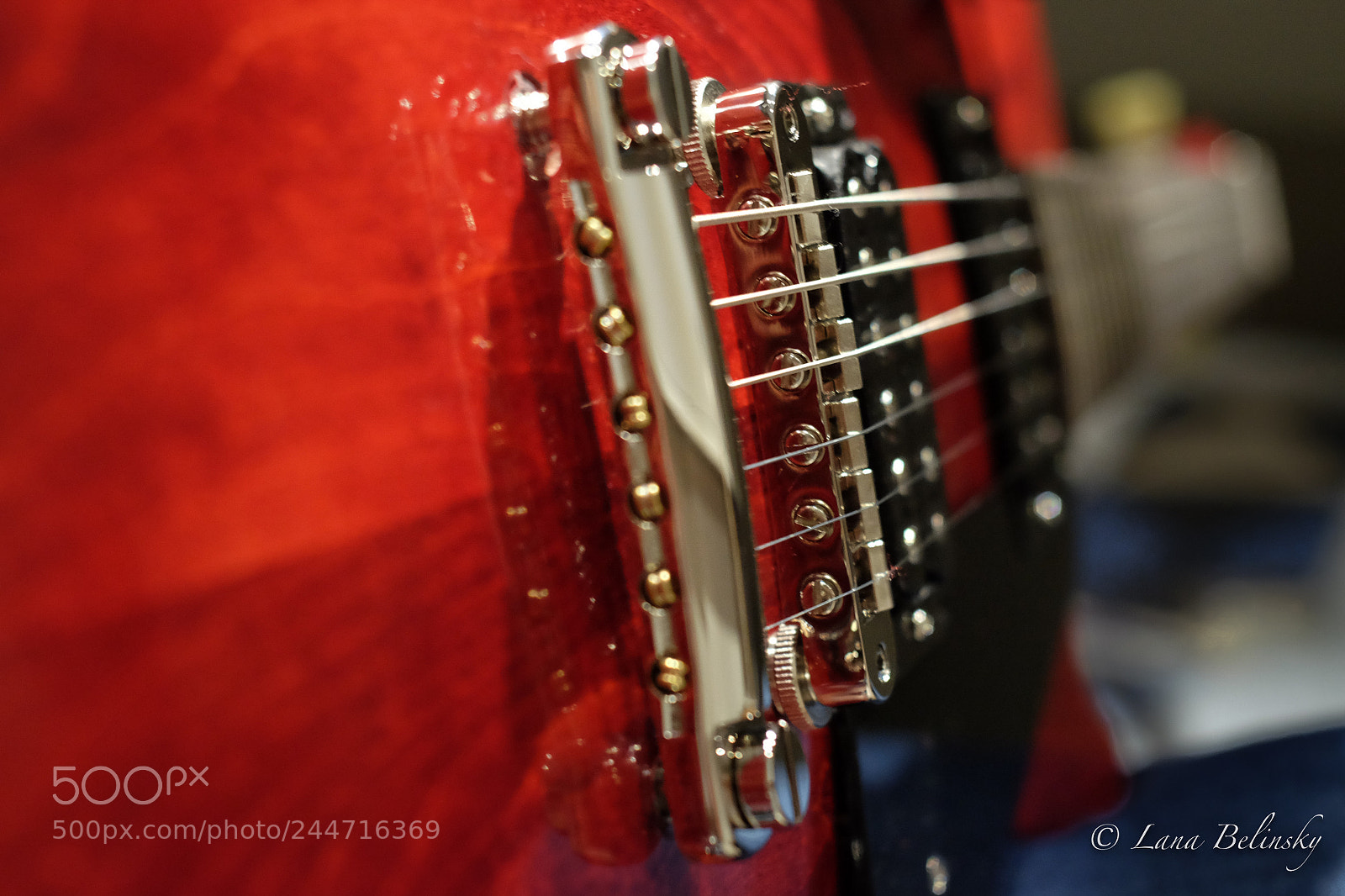Fujifilm X-E2S sample photo. Gibson reds photography