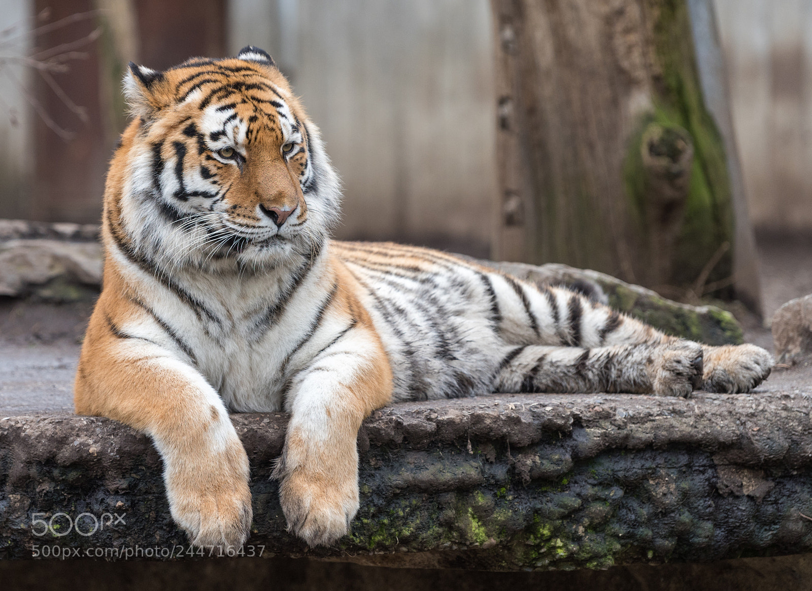 Nikon D810 sample photo. Chilling photography