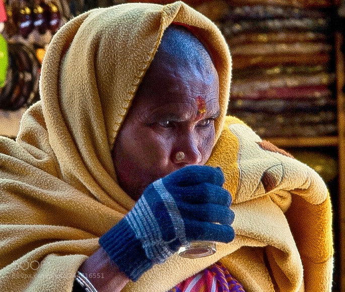 Nikon D700 sample photo. Inde  gangotri pélerin photography