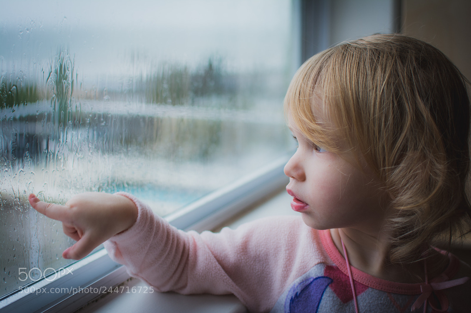 Nikon D7100 sample photo. Rainy day bird watching photography
