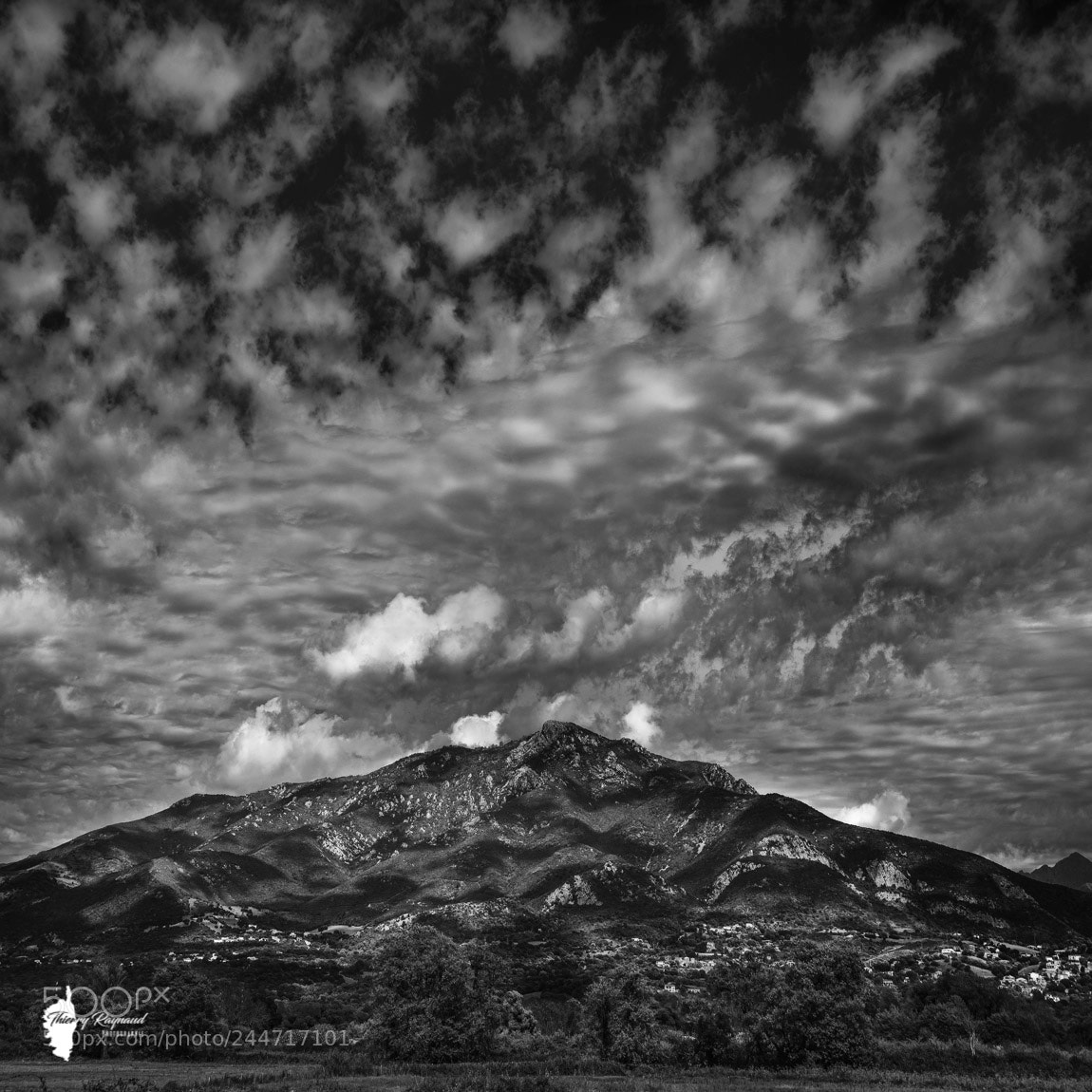 Nikon D600 sample photo. Les moutons de l'aragnasca photography