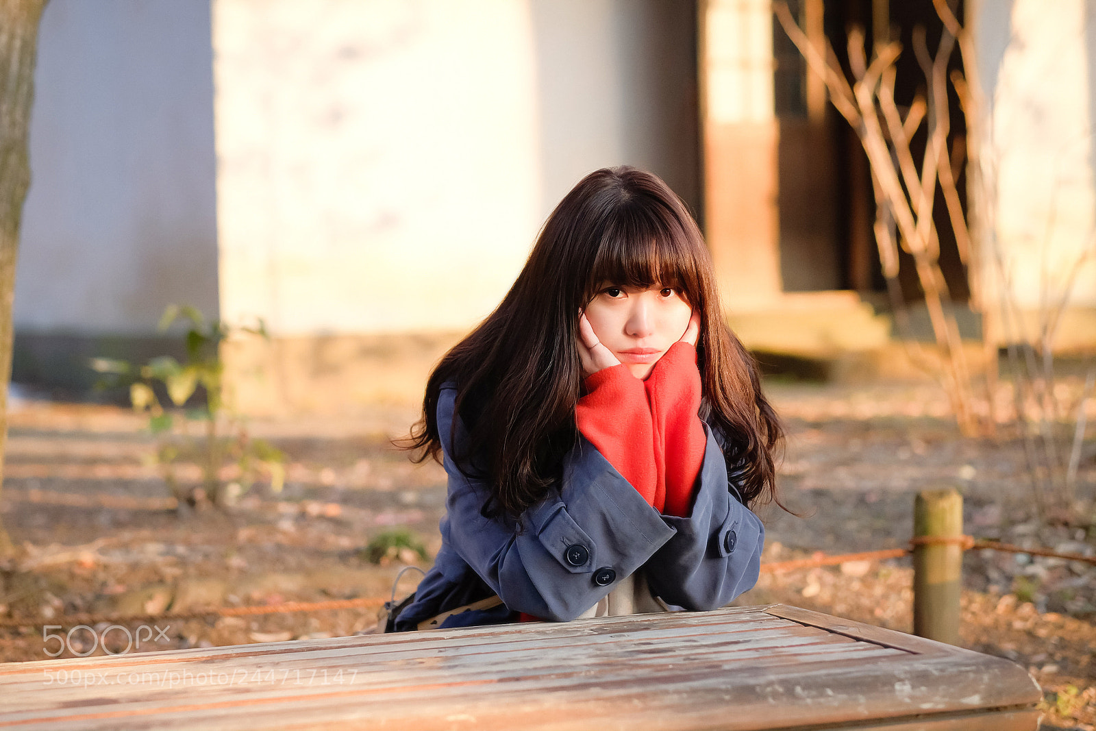 Fujifilm X-T2 sample photo. Untitled photography
