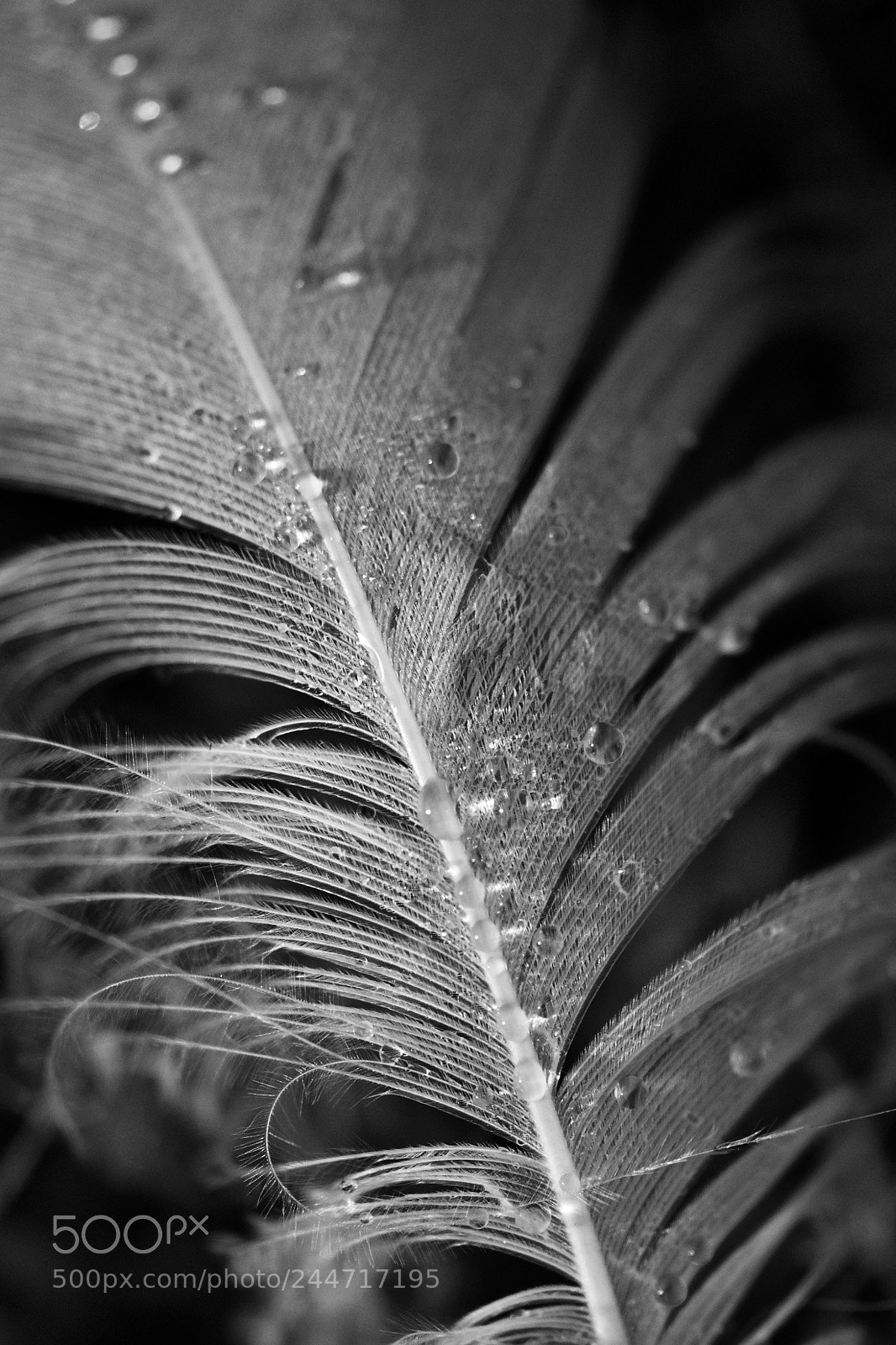 Nikon D7100 sample photo. Untitled photography