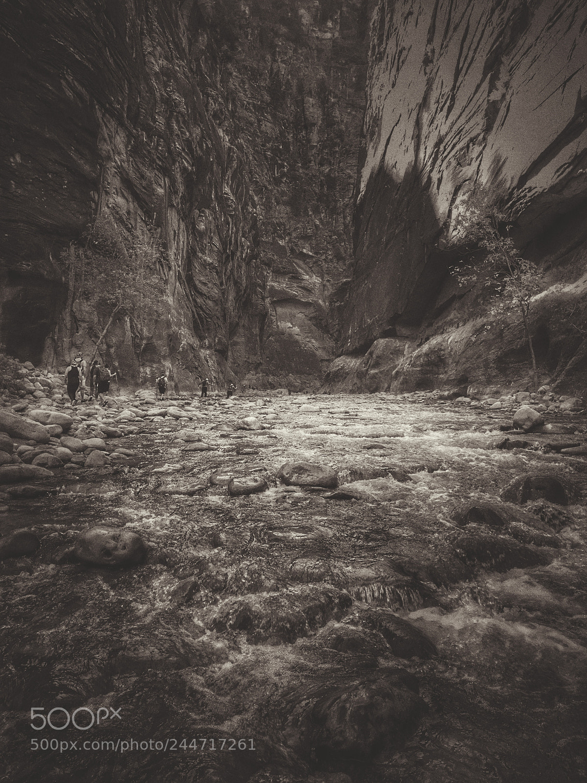 Apple iPhone 7 Plus sample photo. Virgin river, zion np photography
