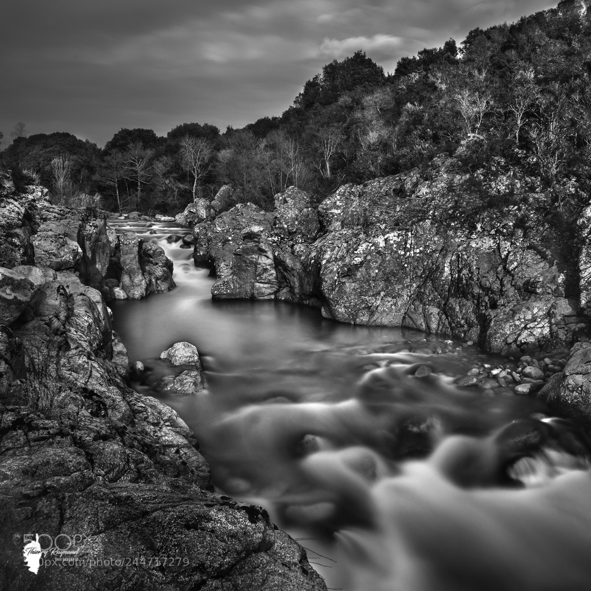 Nikon D600 sample photo. La gravona photography