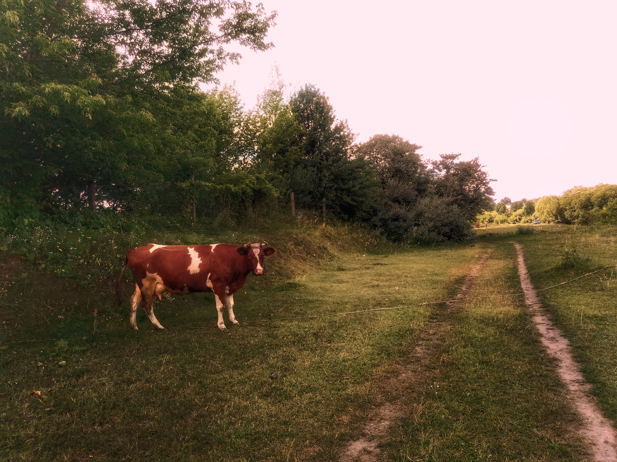 Meizu U20 sample photo