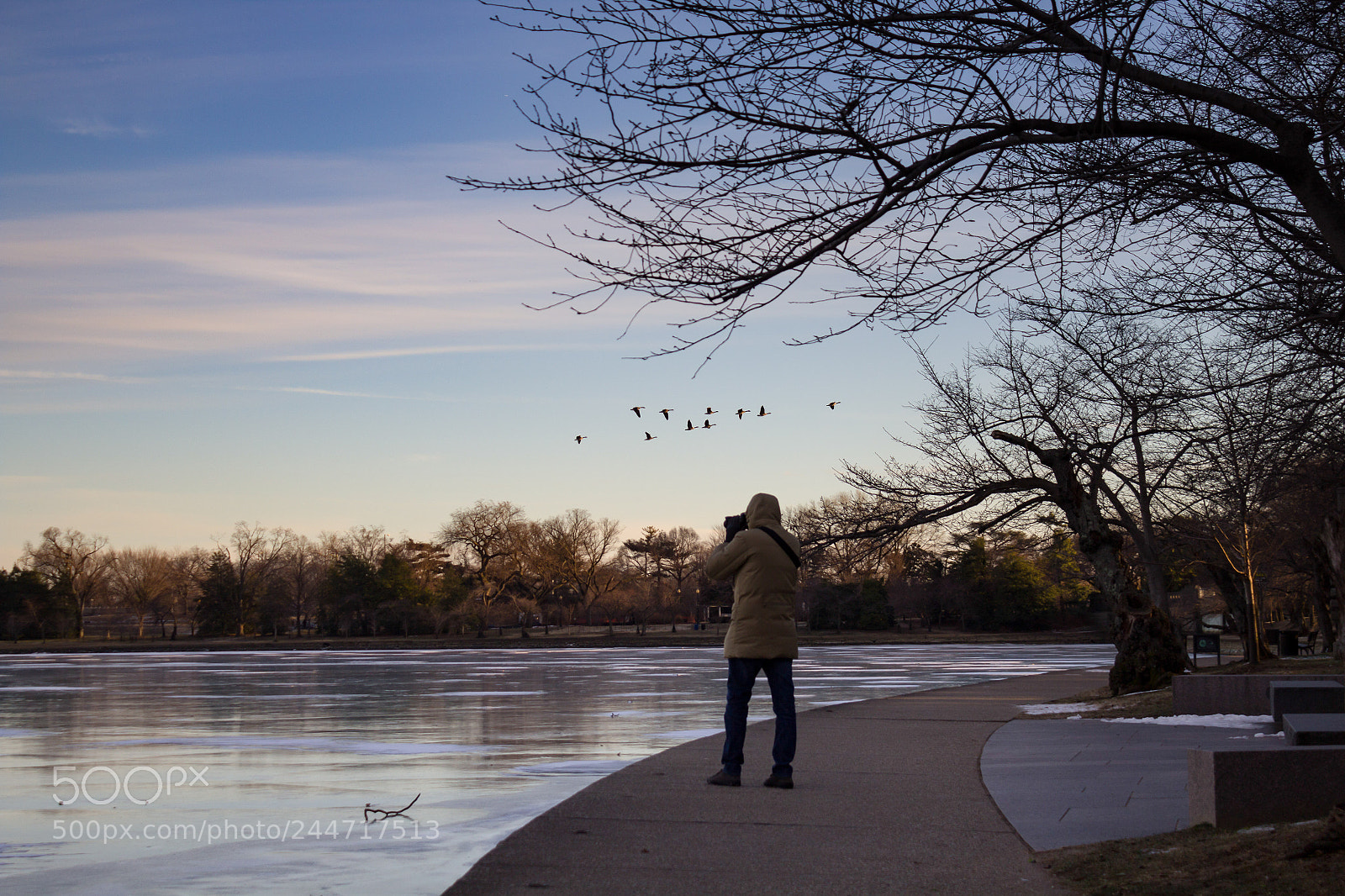 Canon EOS 600D (Rebel EOS T3i / EOS Kiss X5) sample photo. Geese and photographer at photography