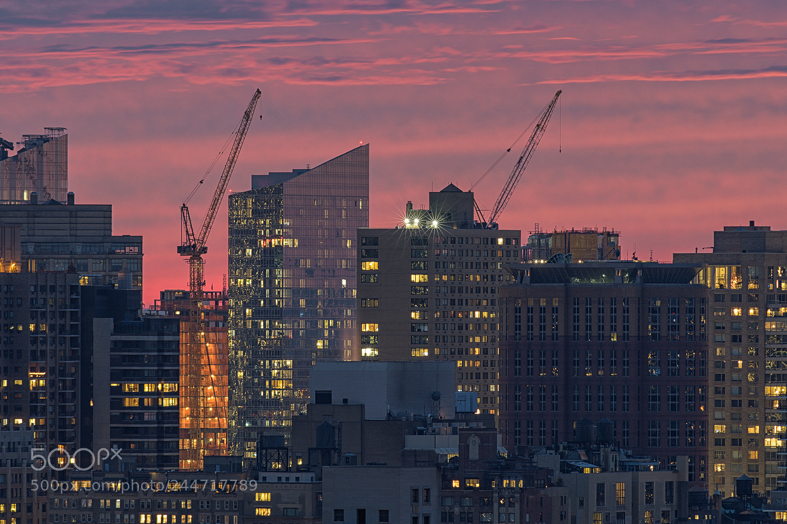 Nikon D500 sample photo. More cranes photography