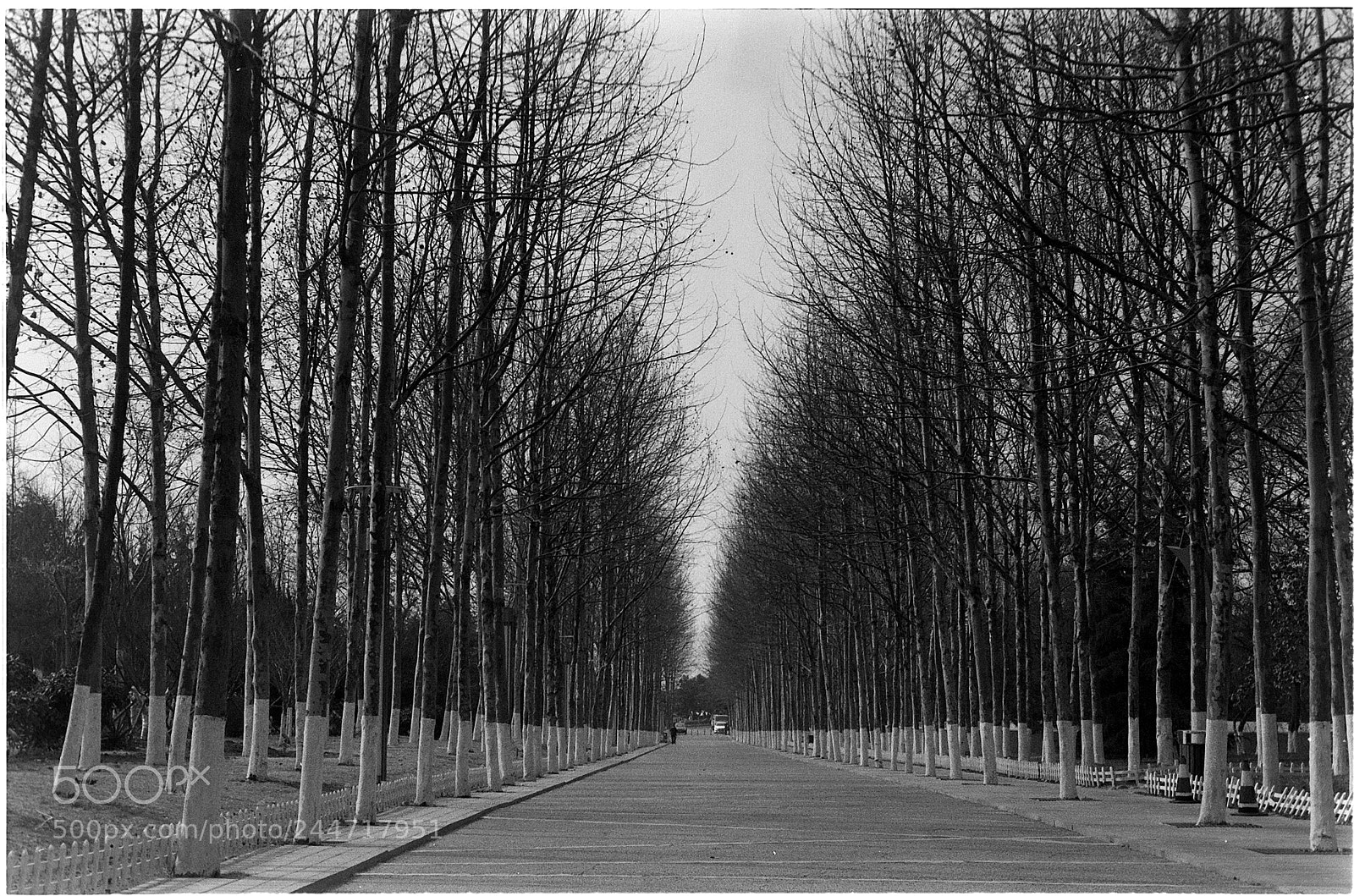Nikon D200 sample photo. Kiev4a wb photography