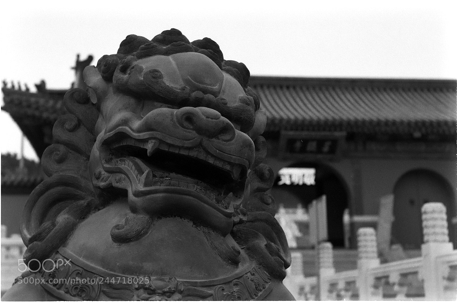 Nikon D200 sample photo. Kiev4a wb photography