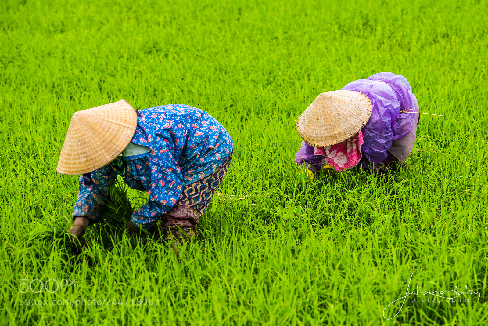 Nikon D800E sample photo. To create an image photography