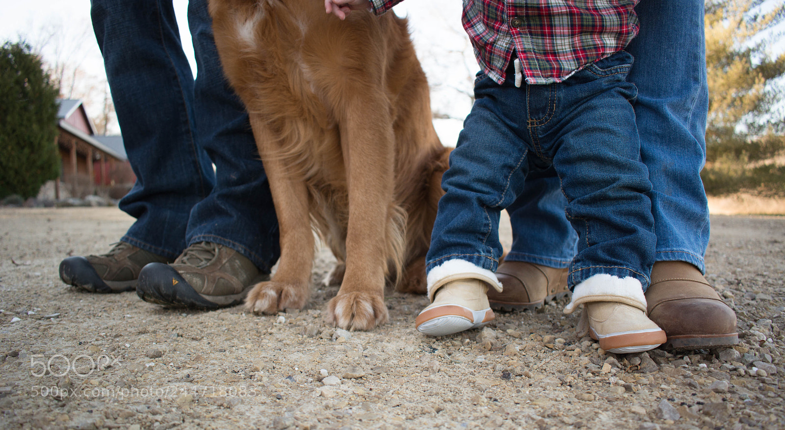 Nikon D7100 sample photo. Step this way photography