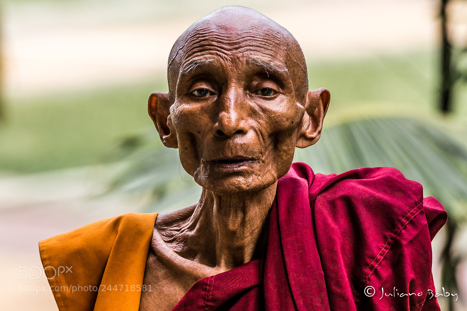 Nikon D800E sample photo. To create an image photography