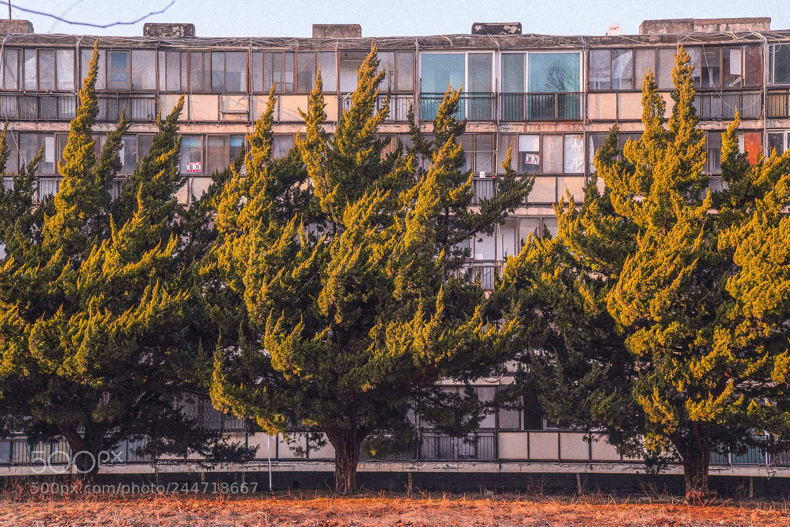 Sony a7R III sample photo. Untitled photography