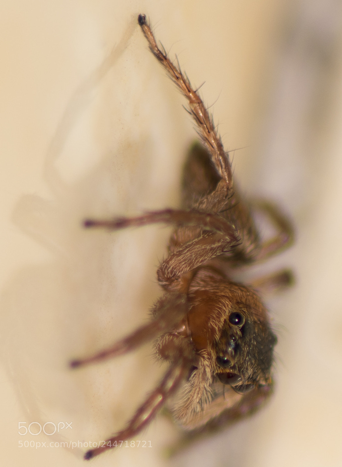 Nikon D810 sample photo. Untitled photography