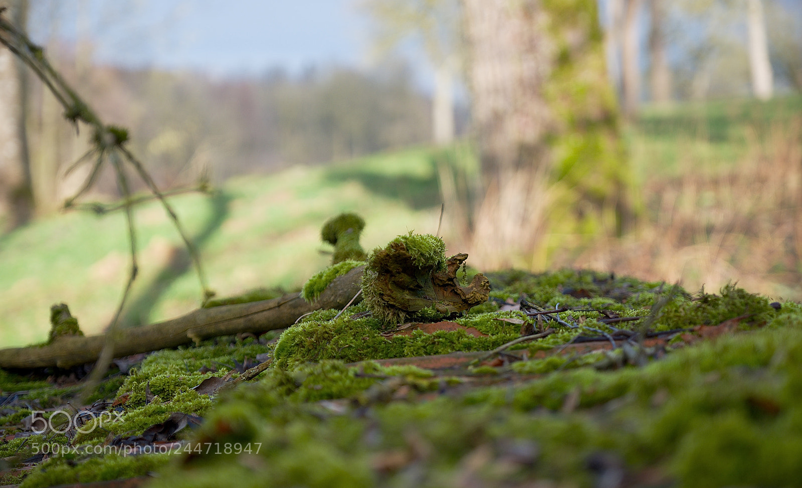Fujifilm X-T1 sample photo. Homeland photography