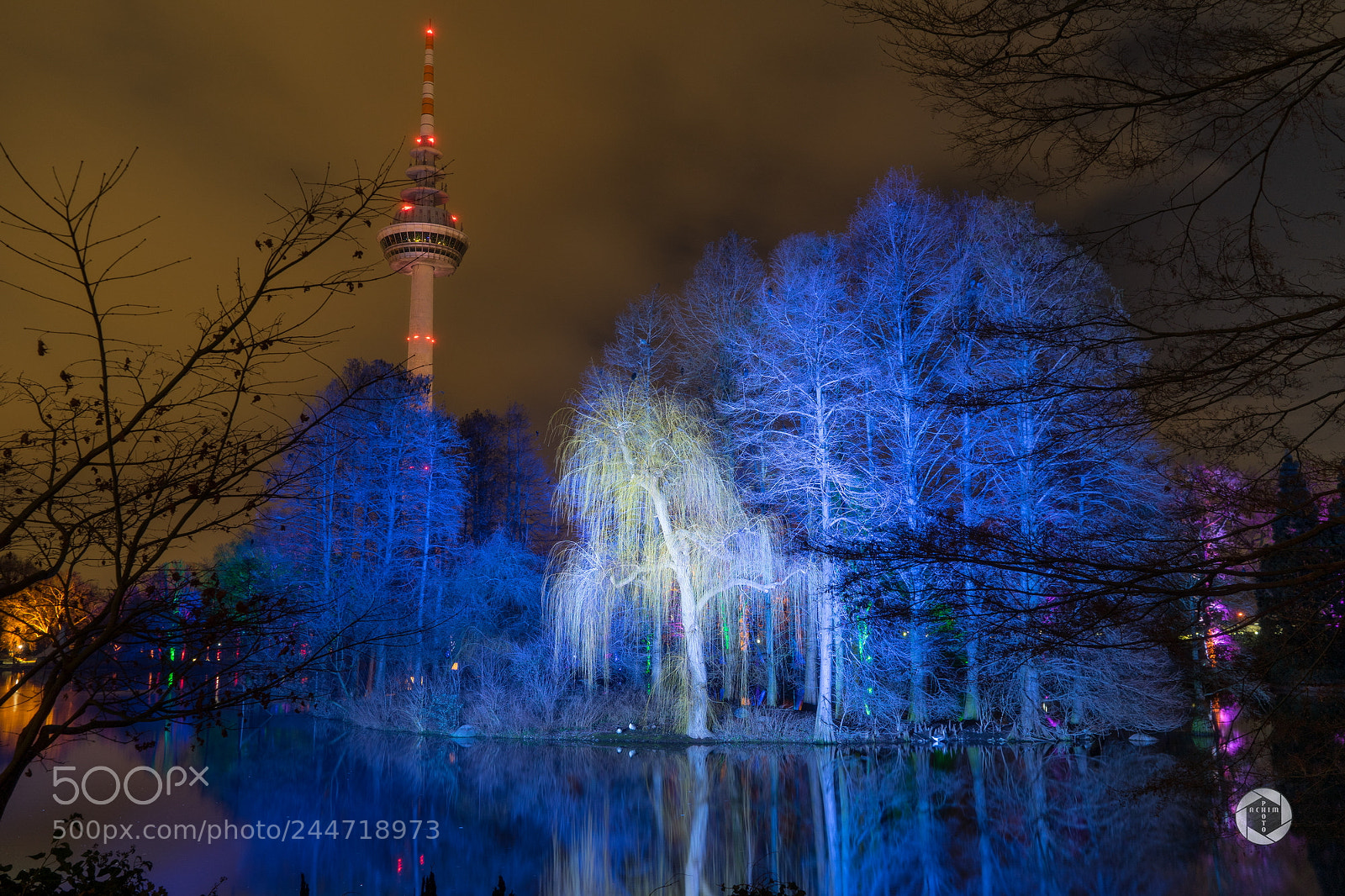 Sony a7 II sample photo. Winter lights photography