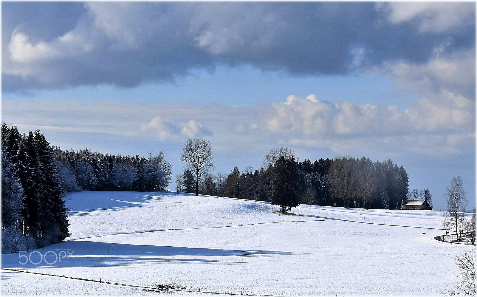Nikon D7200 sample photo. "sunny walk" photography
