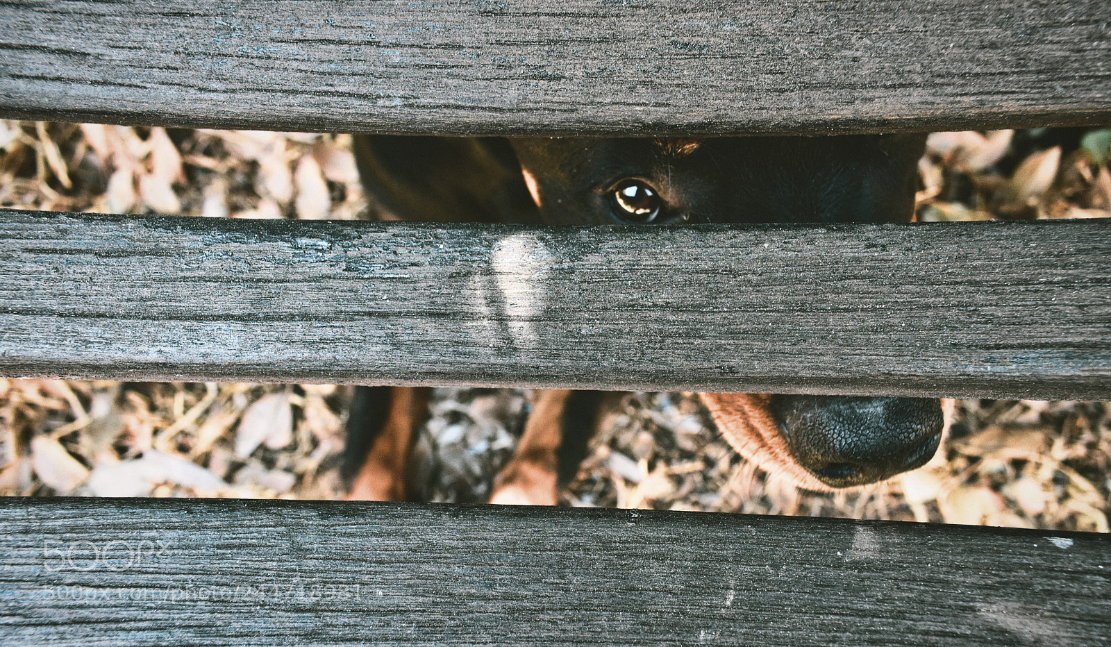 Nikon D3400 sample photo. Zia photography